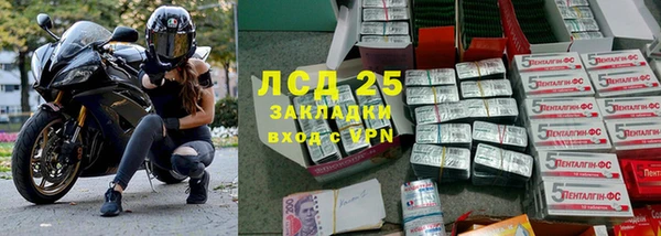 мяу мяу мука Баксан
